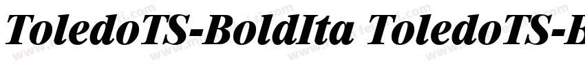 ToledoTS-BoldIta ToledoTS-BoldIta字体转换